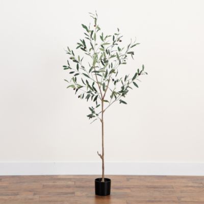 5&#39; Artificial Slim Minimalist Olive Tree