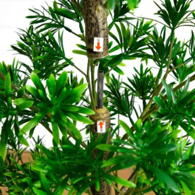 6' UV Artificial Podocarpus Tree