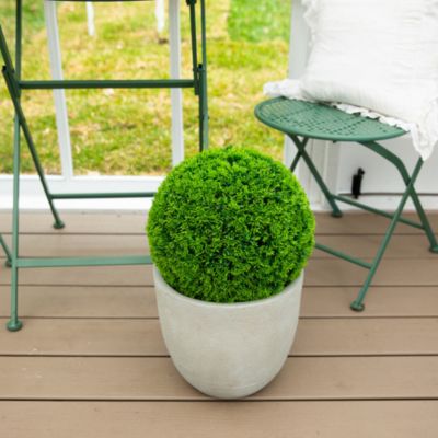 16&amp;quot; UV Resistant Artificial Mediterranean Cypress Topiary Plant (Indoor/Outdoor)