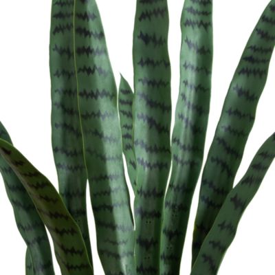 5' UV Resistant Artificial Sansevieria Plant in White Decorative Planter (Indoor/Outdoor)