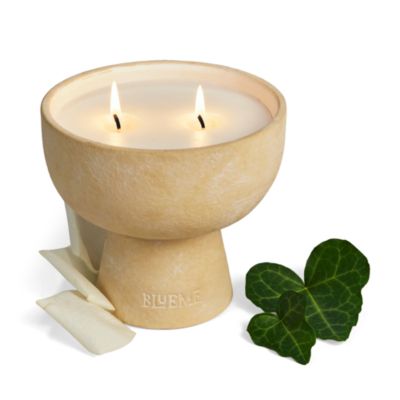 Renew Ivy &amp; Rose Soy Blend Candle 12 oz.