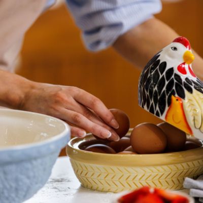 Home to Roost Mother Hen Storage