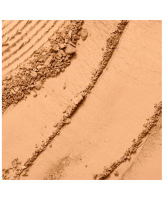 Dual Finish Multitasking Powder Foundation