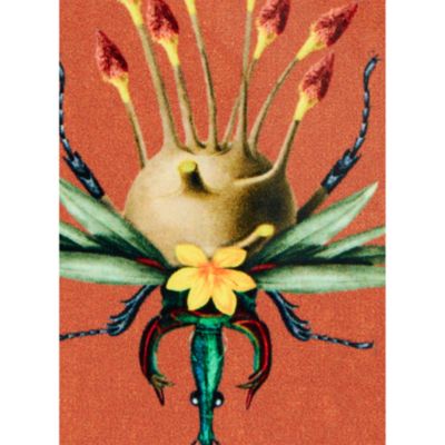 x Beto Val Disk Coasters, Set of 4