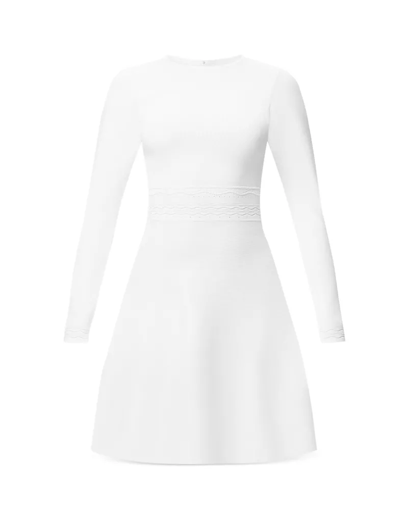 Herve Leger The Delaney Dress