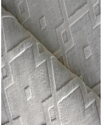 Exquisite Rugs Camora Modern 6753 Area Rug 2'X3'