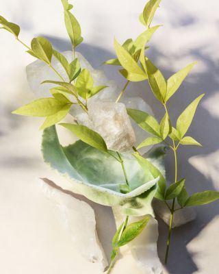 Eau Parfum&eacute;e Th&eacute; Blanc Eau de Toilette 2.5 oz.