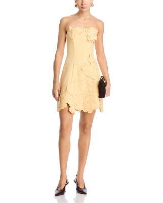 Ayla Applique Bustier Mini Dress - Exclusive