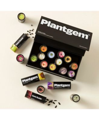  Flower Garden in a Box