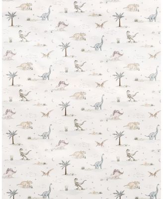 Dino Dreams Pillow Set