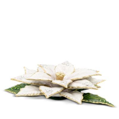 White Poinsettia Object