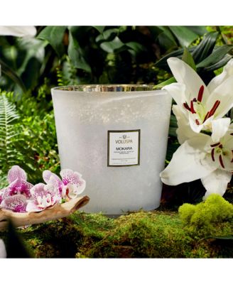 Mokara Orchid Candle 123 oz.