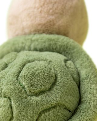 Thimble Turtle - Ages 0+