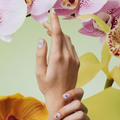 Marseille Memoir Hand Care Gift Set