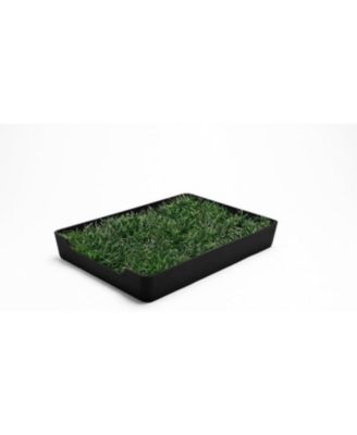  Potty Tray and Training Pad Holder with Protective Walls Mini