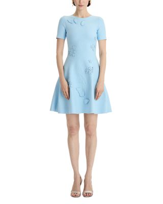 Embroidered Mini Dress