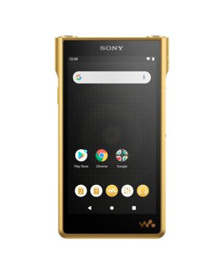 NW-WM1ZM2 256GB Signature Series Premium Digital Music Player