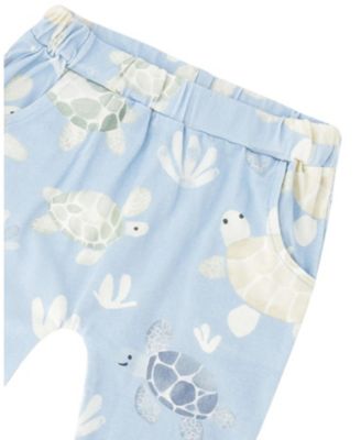 Boys' Organic Cotton Turtle Print Jersey T-Shirt and Pants Set - Baby