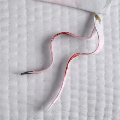 Spring Peony Duvet Cover Set, Twin - Exclusive