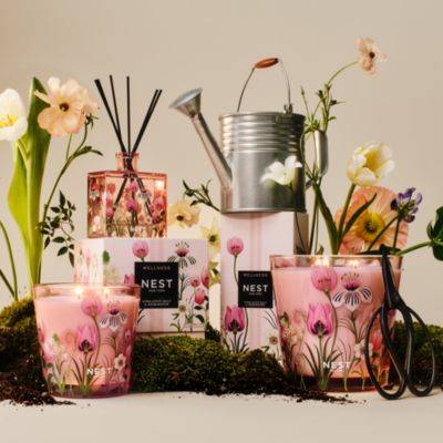 Himalayan Salt & Rosewater Decorative Fragrance Collection