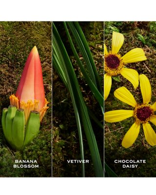 Daisy Wild Eau So Extra Eau de Parfum 1.6 oz.