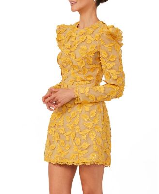 Christy Embroidered Long Sleeve Mini Dress