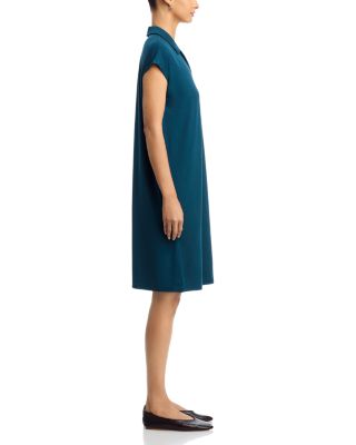 Classic Collar Dress