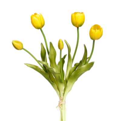 Blooming Tulip Bunch, Set of 6