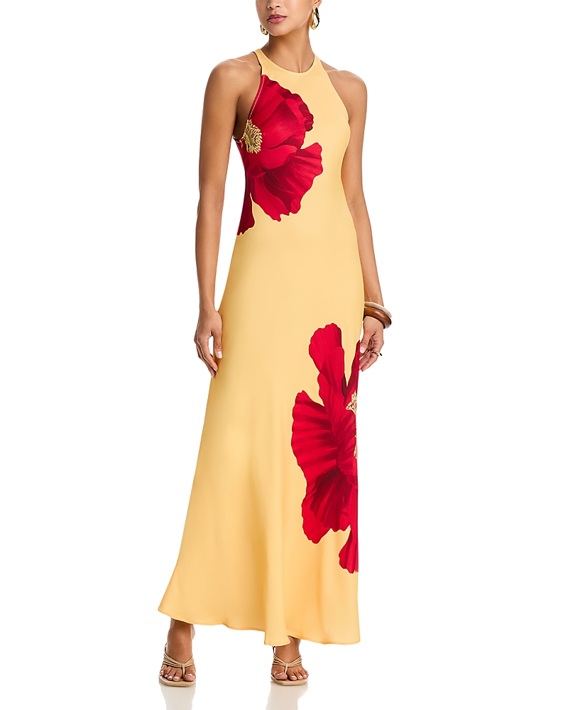 Farm Rio Poppy Flowers Maxi Dress