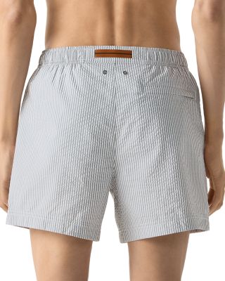 Regular Fit Stripe Swim Trunks