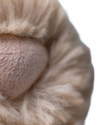 Bashful Bunny Birthday Plush - Ages 0+