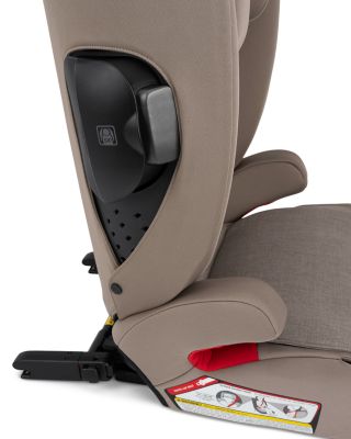 AACE Booster Seat