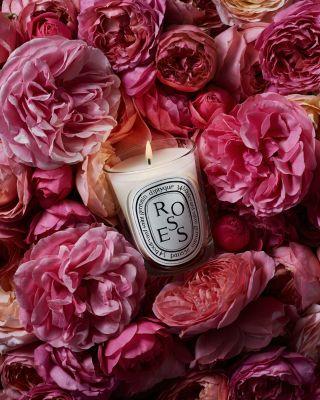 DIPTYQUE Roses Candle | Bloomingdale's Beauty & Cosmetics