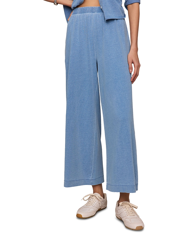 Z Supply Scout Jersey Denim Pants