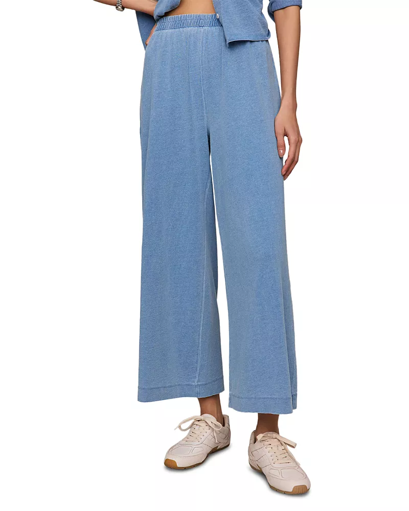 Z Supply Scout Jersey Denim Pants