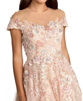 Embroidered Tulle Illusion Neck Cap Sleeve Dress