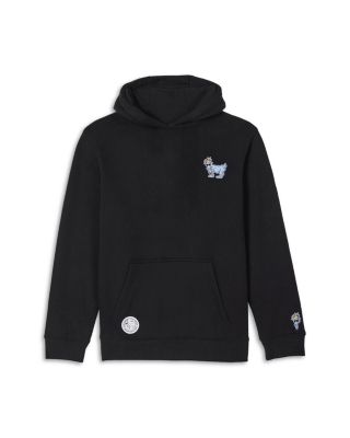Boys' OG Hooded Sweatshirt - Little Kid, Big Kid