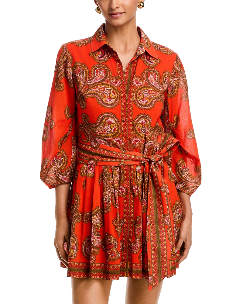 Cara Cara Raya Mini Dress