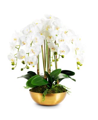  Abigail Gold RealTouch Orchid
