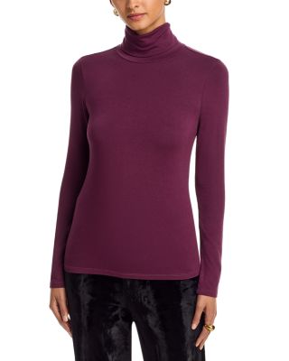 Lani Turtleneck Long Sleeve Top