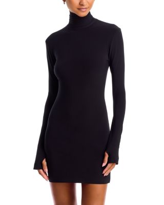 Long Sleeve Turtleneck Mini Dress