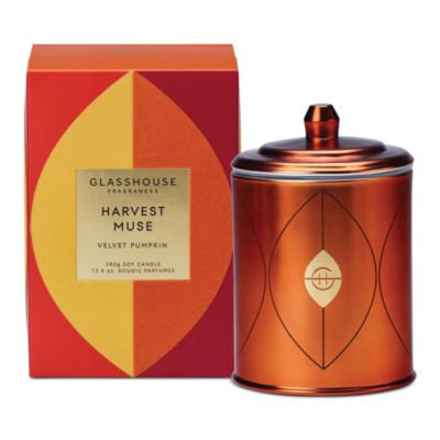 Harvest Muse Velvet Pumpkin Candle 13.4 oz.