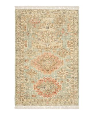 Nourison Home Heritage Vine HTV02 Area Rug, 2'x3'