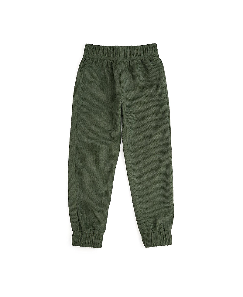 Sweet Wink Boys' Forest Corduroy Jogger - Baby, Little Kid