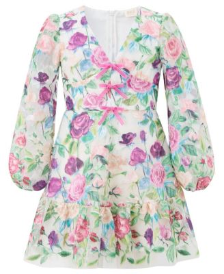 Girls' Rachelle Embroidered Mini Dress - Little Kid, Big Kid