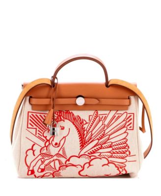 31 Herbag Zip Pegase Pop Toile and Leather