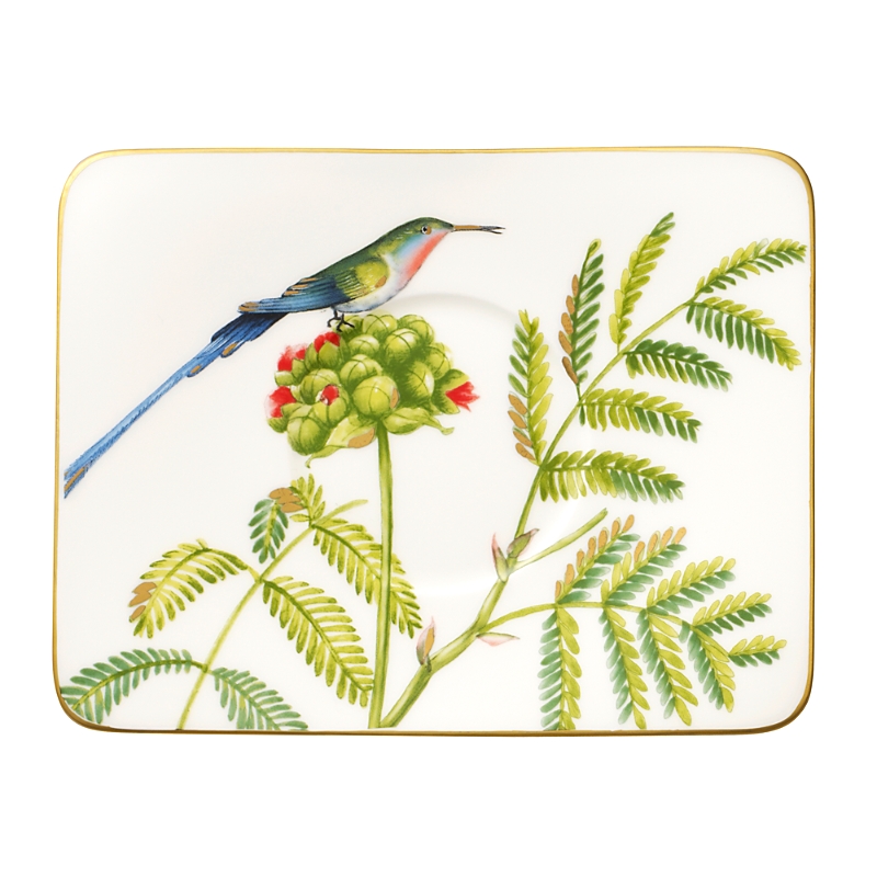 Villeroy & Boch Amazonia Teacup Saucer In Multi