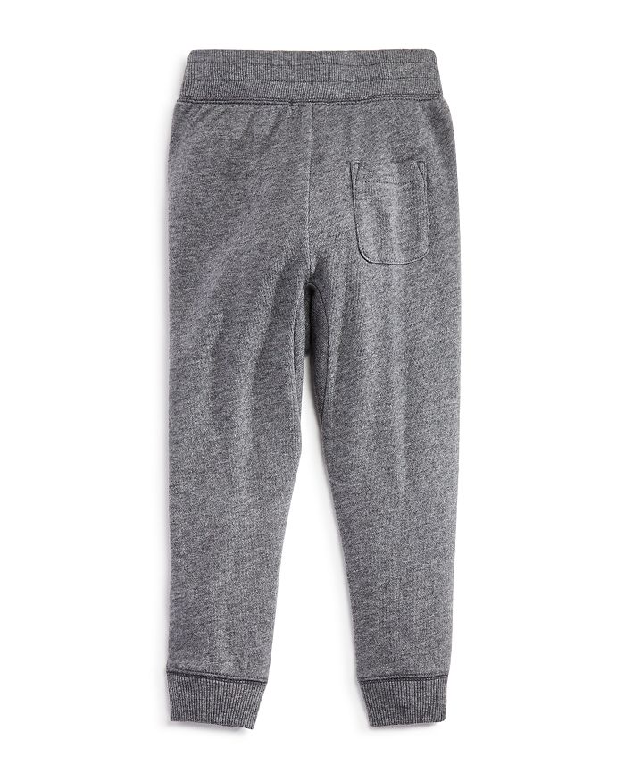 Shop Splendid Boys' Always Jogger Pants - Little Kid In Charcoal Gray