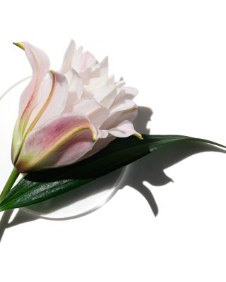 My Happy Lily of the Beach Eau de Parfum 0.5 oz.