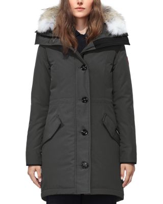 canada goose rossclair early light